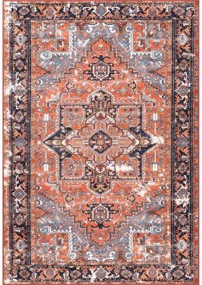 Sherita DISA05A Rust 4' x 6' Area Rug