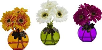 Gerber Daisy w/Colored Vase, Set of 3