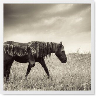 Photo Tiles: Two Horses In The Pasture Photo Tile, White, Framed, 8X8, Gray