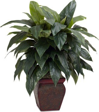 Cordyline Plant with Decorative Vase