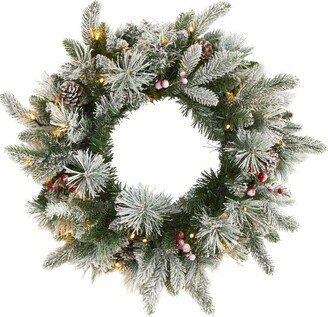 20” Flocked Mixed Pine Artificial Christmas Wreath with 50 LED Lights, Pine Cones and Berries