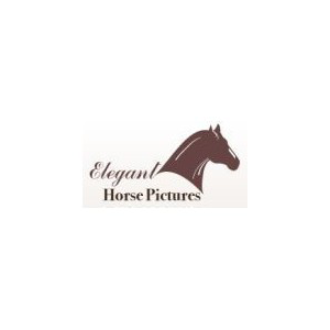 Elegant Horse Pictures & Promo Codes & Coupons