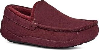 Ascot (Wild Grape) Men's Slippers