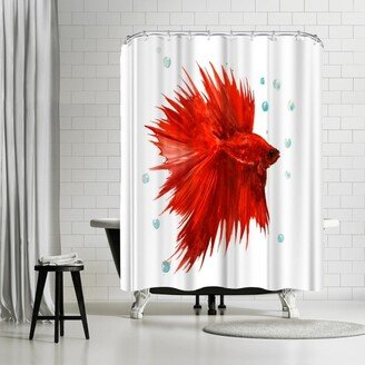 71 x 74 Shower Curtain, Betta Fish 3 by Suren Nersisyan