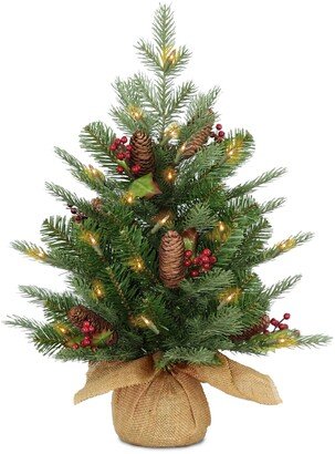 National Tree Company 2' Feel Real Nordic Spruce Tree w Cones & Berries in Burlap w Warm White Lights & Timer