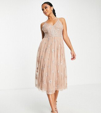 Beauut Petite Bridesmaid delicate embellished midi dress with tulle skirt in taupe