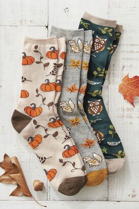 Women's Fall Motif Socks - Ivory Multi