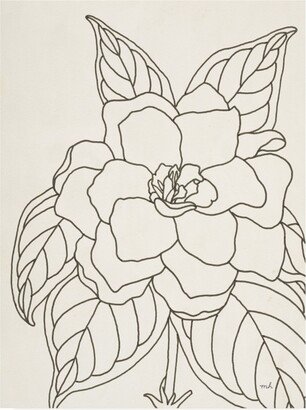 Moira Hershey Gardenia Line Drawing Crop Canvas Art - 19.5 x 26