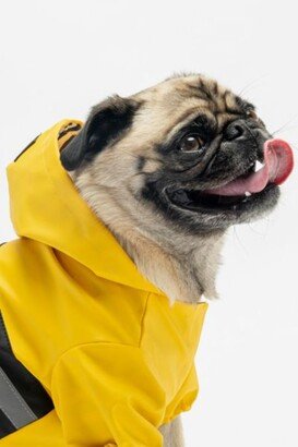 Silver Paw Dog Reflective Raincoat