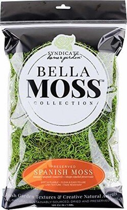 Bella Moss Preserved Spanish Moss, Green