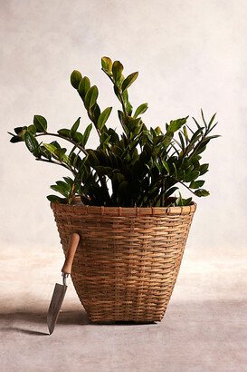 Bamboo Fiber Planter, 20