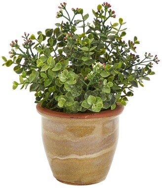 Eucalyptus and Sedum Succulent Artificial Plant in Ceramic Planter