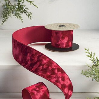 Gradient Velvet Taffeta-Back Ribbon