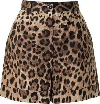 Leopard-Print Tailored Shorts