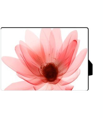 Desktop Plaques: Pink Floral Desktop Plaque, Rectangle Ornament, 5X7, Multicolor