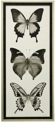 Stylecraft Home Collection Stylecraft Butterfly Bw Panel I Framed Print