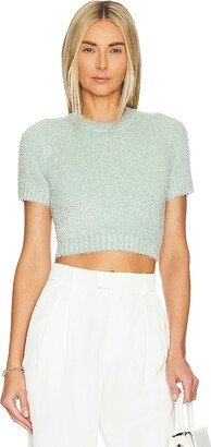 Solid Tinsel Crop Top