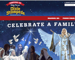 Dixie Stampede Promo Codes & Coupons