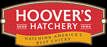 Hoover's Hatchery Promo Codes & Coupons