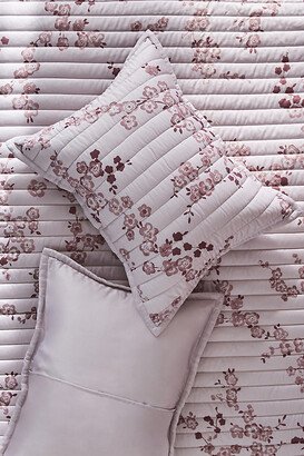 Dulcette Quilted Shams, Set of 2