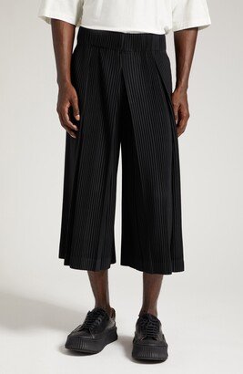 Pleats 1 Wide Leg Crop Pants