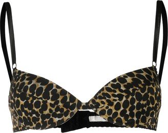 Leopard Print Bra-AA