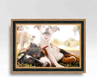 CustomPictureFrames.com 44x16 Frame Gold Real Wood Picture Frame Serpero Traditional Photo Frame with UV Acrylic Foam Board Backing &