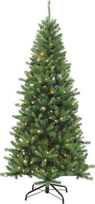 Sterling Tree Company 7Ft Pre-Lit Ozark Pine With 230 Dual Color Changing Led Lights