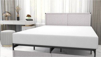 MOLAMOLA DR 6 Inch RE1 Mattress