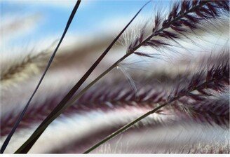 Ulpi Gonzale Grasses No. 8 Canvas Art - 36.5 x 48