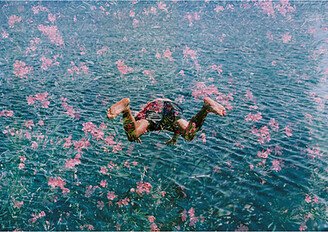 Diving into Pink Flowers from Getty Images