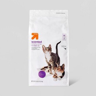 Scented Clumping Cat Litter - 35lbs - up & up™