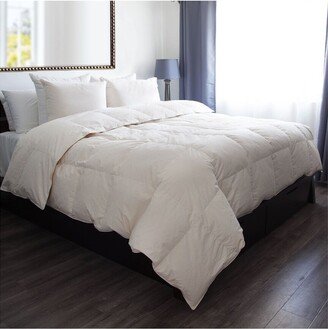 Unbleached Organic Cotton Down Alternative Comforter