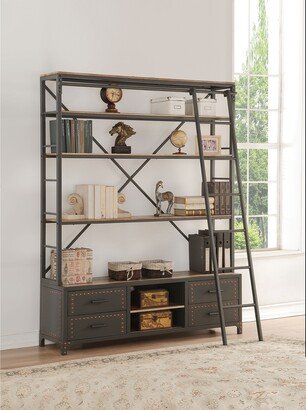 Actaki Bookshelf & Ladder in Sandy Gray