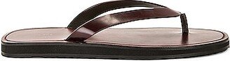 City Flip Flop in Brown