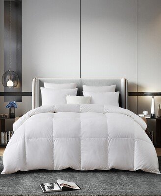 European White Down & Feather All Season Comforter, Full/Queen