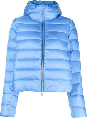 Iris padded jacket