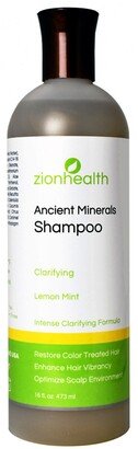 Zion Health Clarifying Hair Shampoo, Lemon Mint, 16 oz
