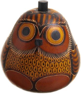 Handmade Owls Wisdom Dried Mate Gourd Decorative Box