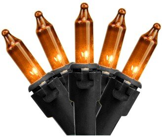 Northlight Set of 35 Orange Mini Christmas Lights 2.5 Spacing - Black Wire