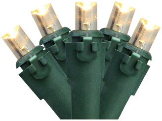 Northlight Set of 100 Warm White Led Wide Angle Christmas Lights - Green Wire