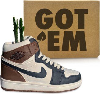 Mocha Aj 1 Sneaker Planter By Potdega/Shoe Pot