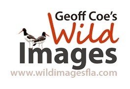 Wild Images Florida Promo Codes & Coupons