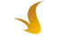 Vinpearl Promo Codes & Coupons