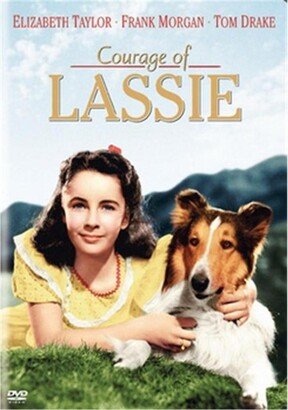 Warner Bros Warner Home Video Courage of Lassie Dvd