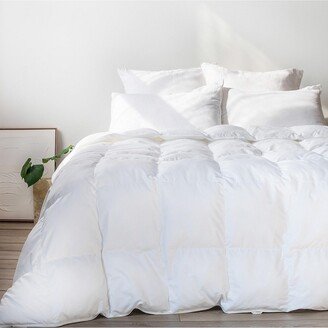Bokser Home Extra Warm Down Alternative Machine Washable Duvet Comforter Insert - Full/Queen