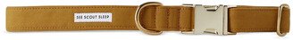 See Scout Sleep Yellow The Scot Large Standard Dog Collar