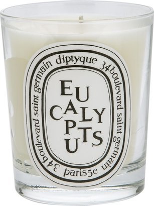 Eucalyptus Scented Candle