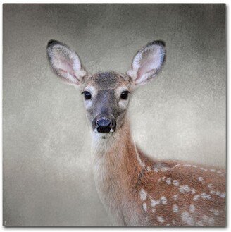 Jai Johnson 'Little Miss Lashes White Tailed Fawn' Canvas Art - 24 x 24 x 2