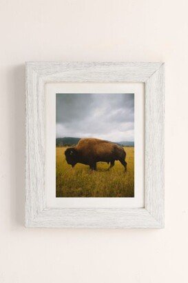 Rodrigo Trevino Roadside Bison Art Print